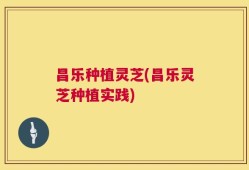 昌乐种植灵芝(昌乐灵芝种植实践)
