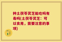 种土茯苓灵芝能吃吗有毒吗(土茯苓灵芝：可以食用，需要注意的事项)