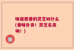 味道很香的灵芝叫什么(香味扑鼻！灵芝名高响！)