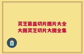 灵芝菌盖切片图片大全大图灵芝切片大图全集