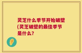 灵芝什么季节开始破壁(灵芝破壁的最佳季节是什么？