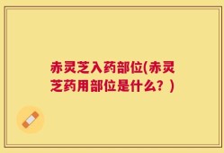 赤灵芝入药部位(赤灵芝药用部位是什么？)