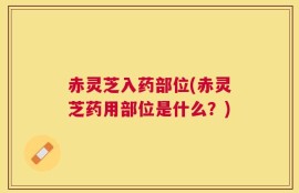 赤灵芝入药部位(赤灵芝药用部位是什么？)