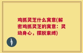 鸡抓灵芝什么寓意(解密鸡抓灵芝的寓意：灵动身心，摆脱束缚)