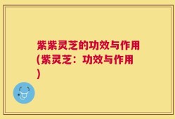 紫紫灵芝的功效与作用(紫灵芝：功效与作用)