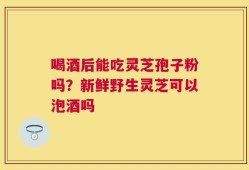 喝酒后能吃灵芝孢子粉吗？新鲜野生灵芝可以泡酒吗