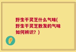野生干灵芝什么气味(野生干灵芝散发的气味如何辨识？)