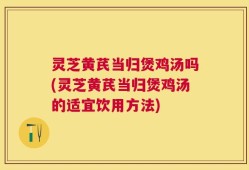 灵芝黄芪当归煲鸡汤吗(灵芝黄芪当归煲鸡汤的适宜饮用方法)
