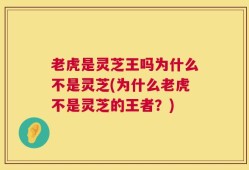 老虎是灵芝王吗为什么不是灵芝(为什么老虎不是灵芝的王者？)