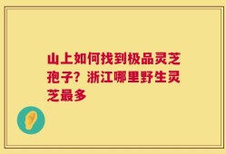 山上如何找到极品灵芝孢子？浙江哪里野生灵芝最多