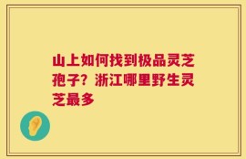 山上如何找到极品灵芝孢子？浙江哪里野生灵芝最多