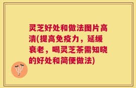 灵芝好处和做法图片高清(提高免疫力，延缓衰老，喝灵芝茶需知晓的好处和简便做法)