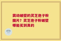 震动破壁的灵芝孢子粉图片？灵芝孢子粉破壁哪能买到真的