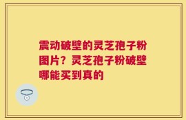 震动破壁的灵芝孢子粉图片？灵芝孢子粉破壁哪能买到真的
