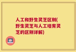 人工和野生灵芝区别(野生灵芝与人工培育灵芝的区别详解)