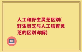 人工和野生灵芝区别(野生灵芝与人工培育灵芝的区别详解)