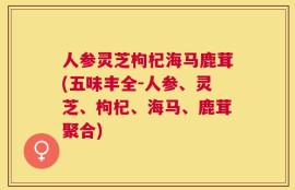 人参灵芝枸杞海马鹿茸(五味丰全-人参、灵芝、枸杞、海马、鹿茸聚合)