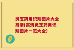 灵芝药用识别图片大全高清(高清灵芝药用识别图片一览大全)
