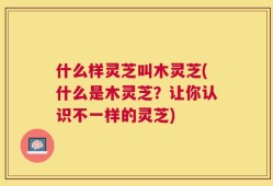 什么样灵芝叫木灵芝(什么是木灵芝？让你认识不一样的灵芝)