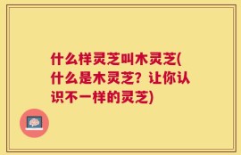 什么样灵芝叫木灵芝(什么是木灵芝？让你认识不一样的灵芝)