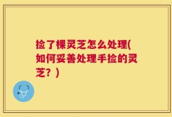 捡了棵灵芝怎么处理(如何妥善处理手捡的灵芝？)