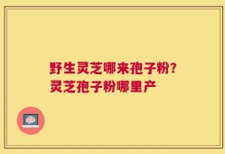 野生灵芝哪来孢子粉？灵芝孢子粉哪里产