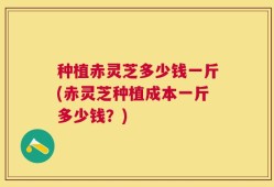 种植赤灵芝多少钱一斤(赤灵芝种植成本一斤多少钱？)