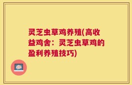 灵芝虫草鸡养殖(高收益鸡舍：灵芝虫草鸡的盈利养殖技巧)