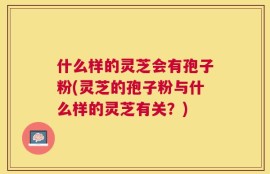 什么样的灵芝会有孢子粉(灵芝的孢子粉与什么样的灵芝有关？)