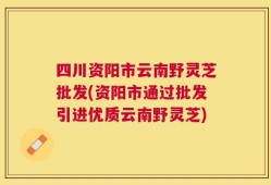 四川资阳市云南野灵芝批发(资阳市通过批发引进优质云南野灵芝)