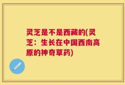 灵芝是不是西藏的(灵芝：生长在中国西南高原的神奇草药)