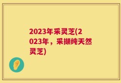 2023年采灵芝(2023年，采撷纯天然灵芝)