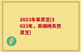 2023年采灵芝(2023年，采撷纯天然灵芝)