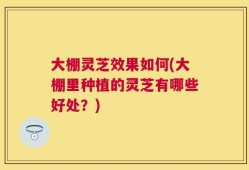 大棚灵芝效果如何(大棚里种植的灵芝有哪些好处？)