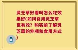 灵芝草好看吗怎么吃效果好(如何食用灵芝草更有效？购买前了解灵芝草的外观和食用方式)