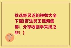 挑选野灵芝的视频大全下载(野生灵芝视频集锦：分享收割季采摘之旅！)