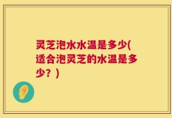 灵芝泡水水温是多少(适合泡灵芝的水温是多少？)