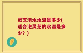 灵芝泡水水温是多少(适合泡灵芝的水温是多少？)
