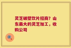 灵芝破壁饮片招商？山东最大的灵芝加工，收购公司