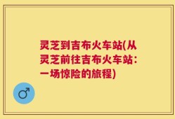 灵芝到吉布火车站(从灵芝前往吉布火车站：一场惊险的旅程)
