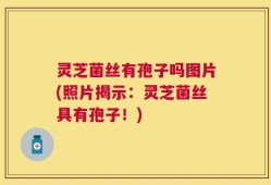 灵芝菌丝有孢子吗图片(照片揭示：灵芝菌丝具有孢子！)