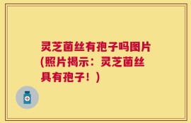 灵芝菌丝有孢子吗图片(照片揭示：灵芝菌丝具有孢子！)