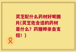 灵芝配什么药材好呢图片(灵芝佐合适的药材是什么？药膳师亲自支招！)