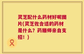 灵芝配什么药材好呢图片(灵芝佐合适的药材是什么？药膳师亲自支招！)
