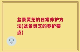盆景灵芝的日常养护方法(盆景灵芝的养护要点)