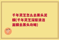千年灵芝怎么去黑头泥膜(千年灵芝深层清洁面膜去黑头攻略)