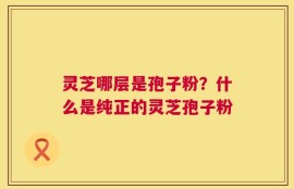 灵芝哪层是孢子粉？什么是纯正的灵芝孢子粉