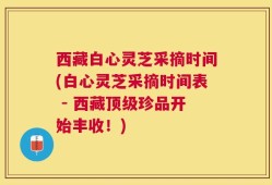 西藏白心灵芝采摘时间(白心灵芝采摘时间表 - 西藏顶级珍品开始丰收！)