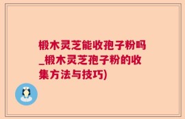椴木灵芝能收孢子粉吗_椴木灵芝孢子粉的收集方法与技巧)