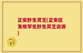 正安野生灵芝(正安区发现罕见野生灵芝资源)